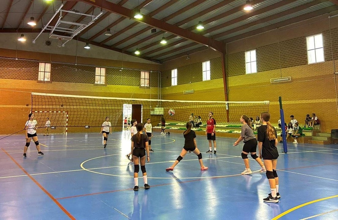 Torneo de verano de Voleibol