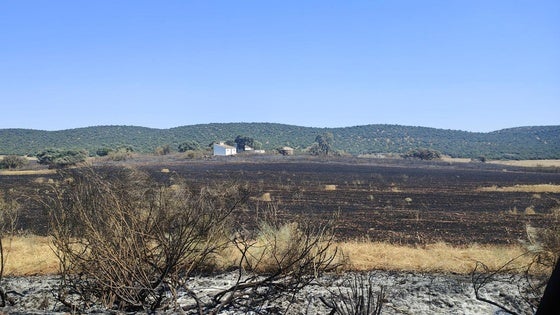 Un incendio arrasa más de 100 hectáreas en El Rebellao