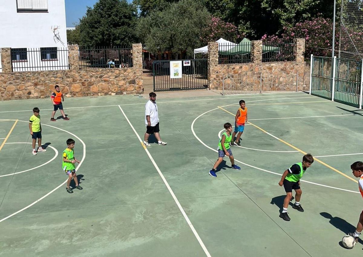 Imagen secundaria 1 - Algunas actividades