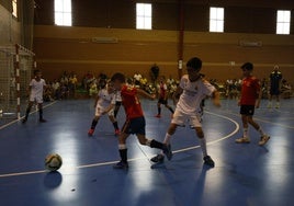 Fútbol Sala Base