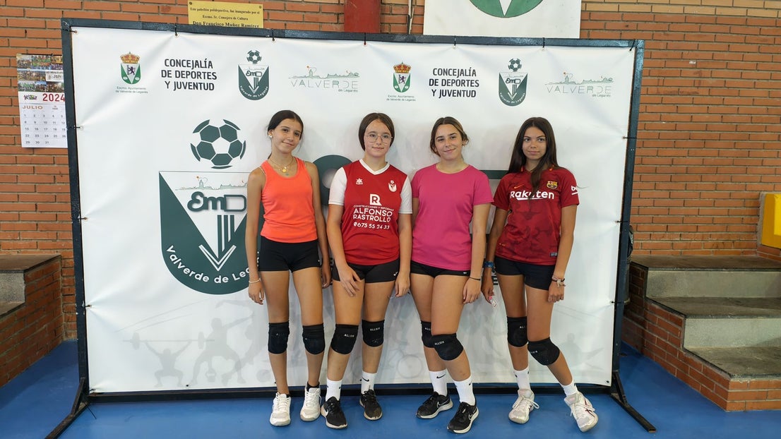 Torneos de verano de Voleibol