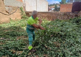 Primeros trabajos para las obras