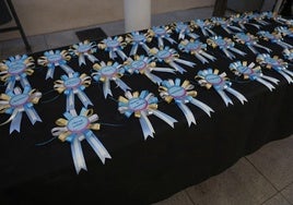 V Desfile Canino (I)