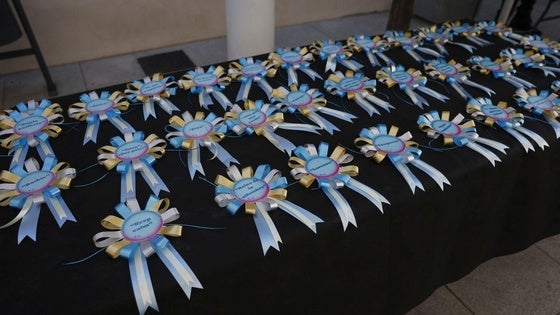 V Desfile Canino (I)