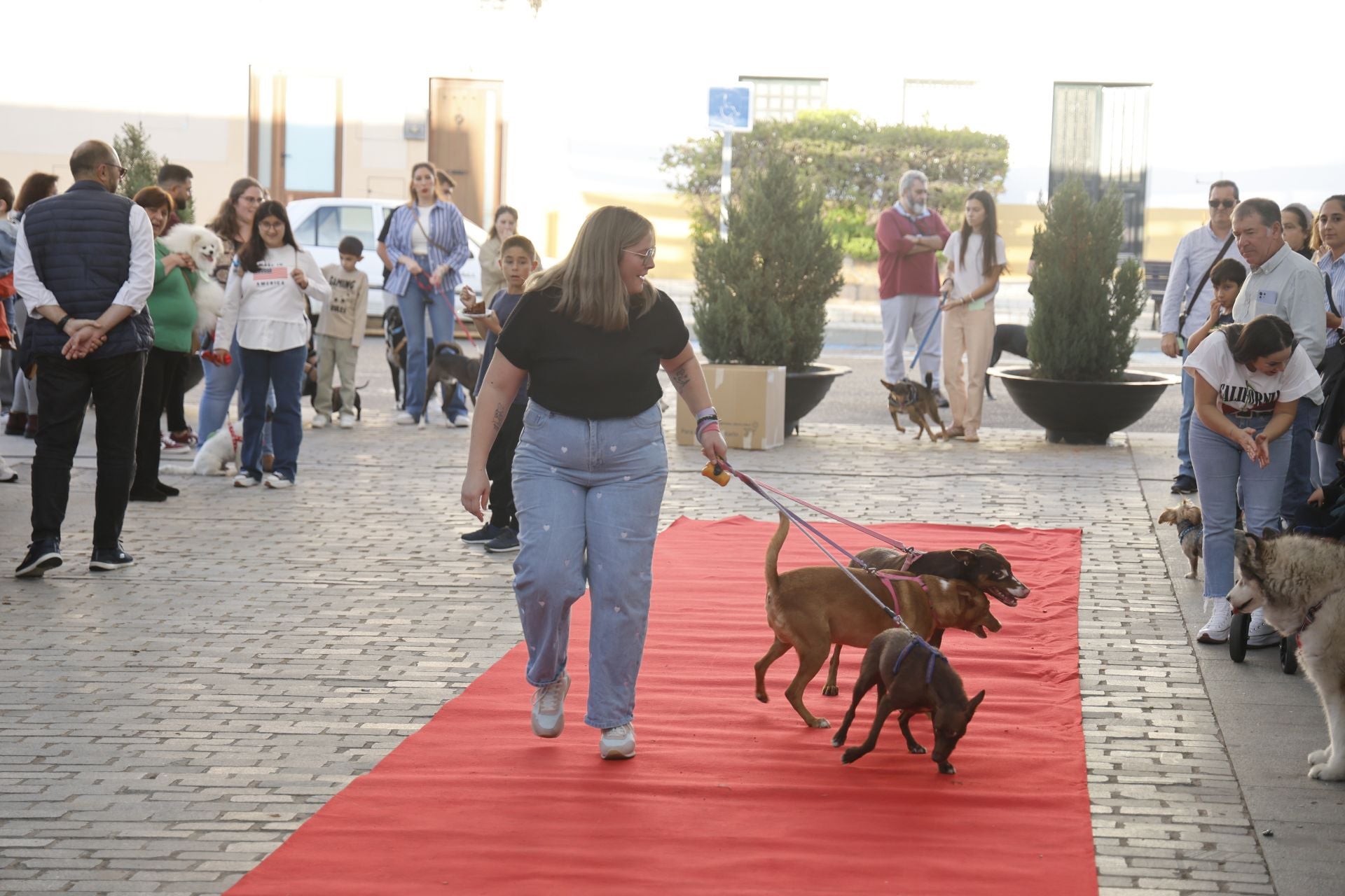 V Desfile Canino (I)