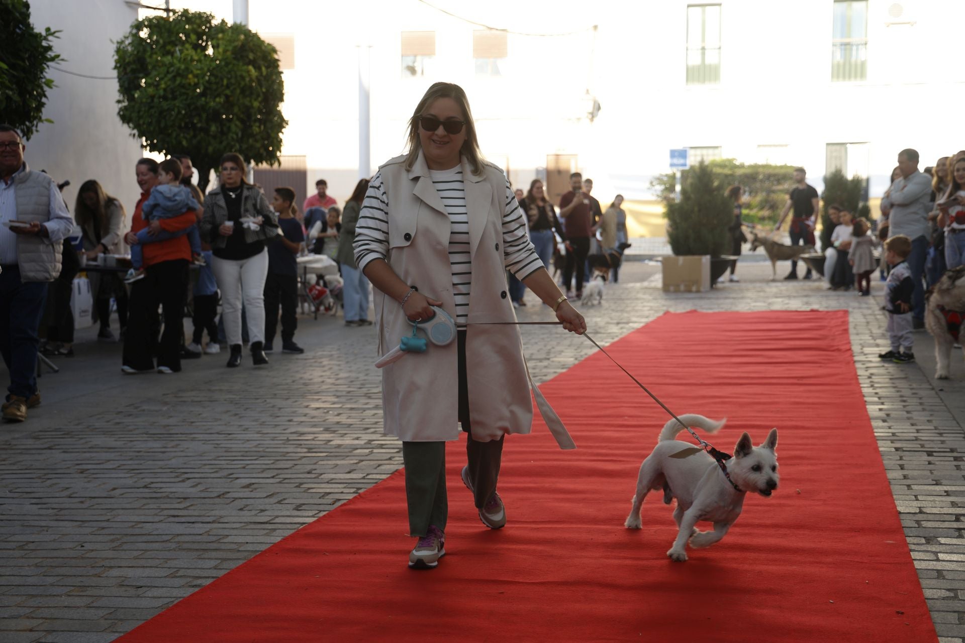 V Desfile Canino (I)