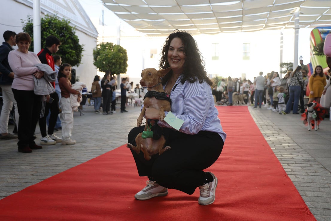 V Desfile Canino (I)