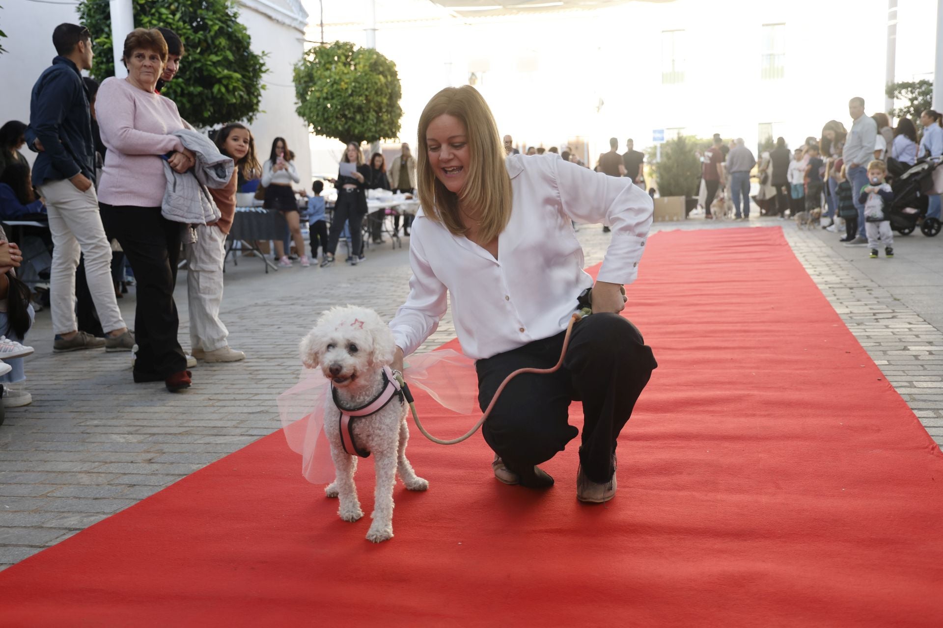 V Desfile Canino (I)