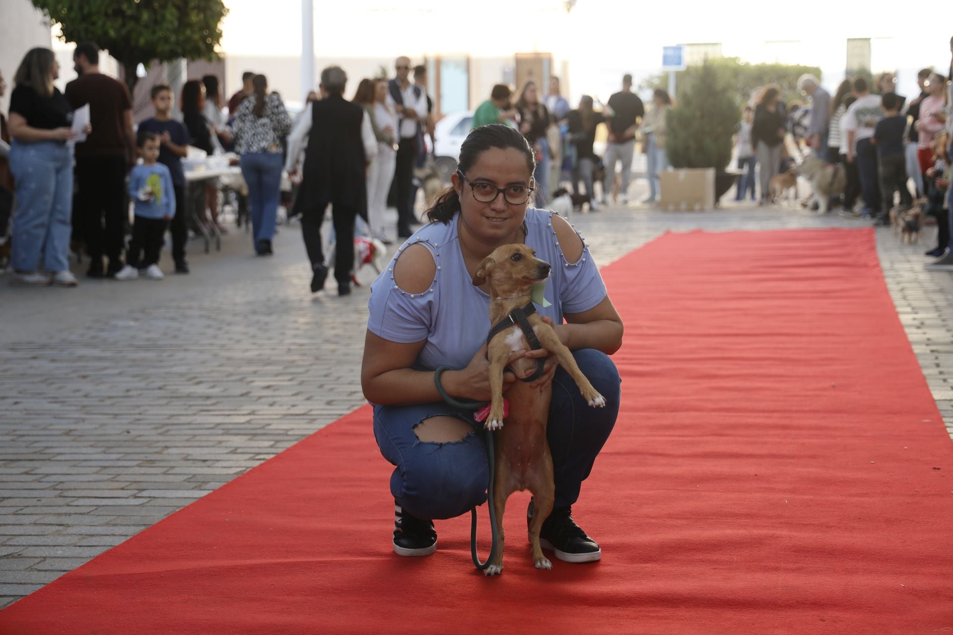 V Desfile Canino (I)