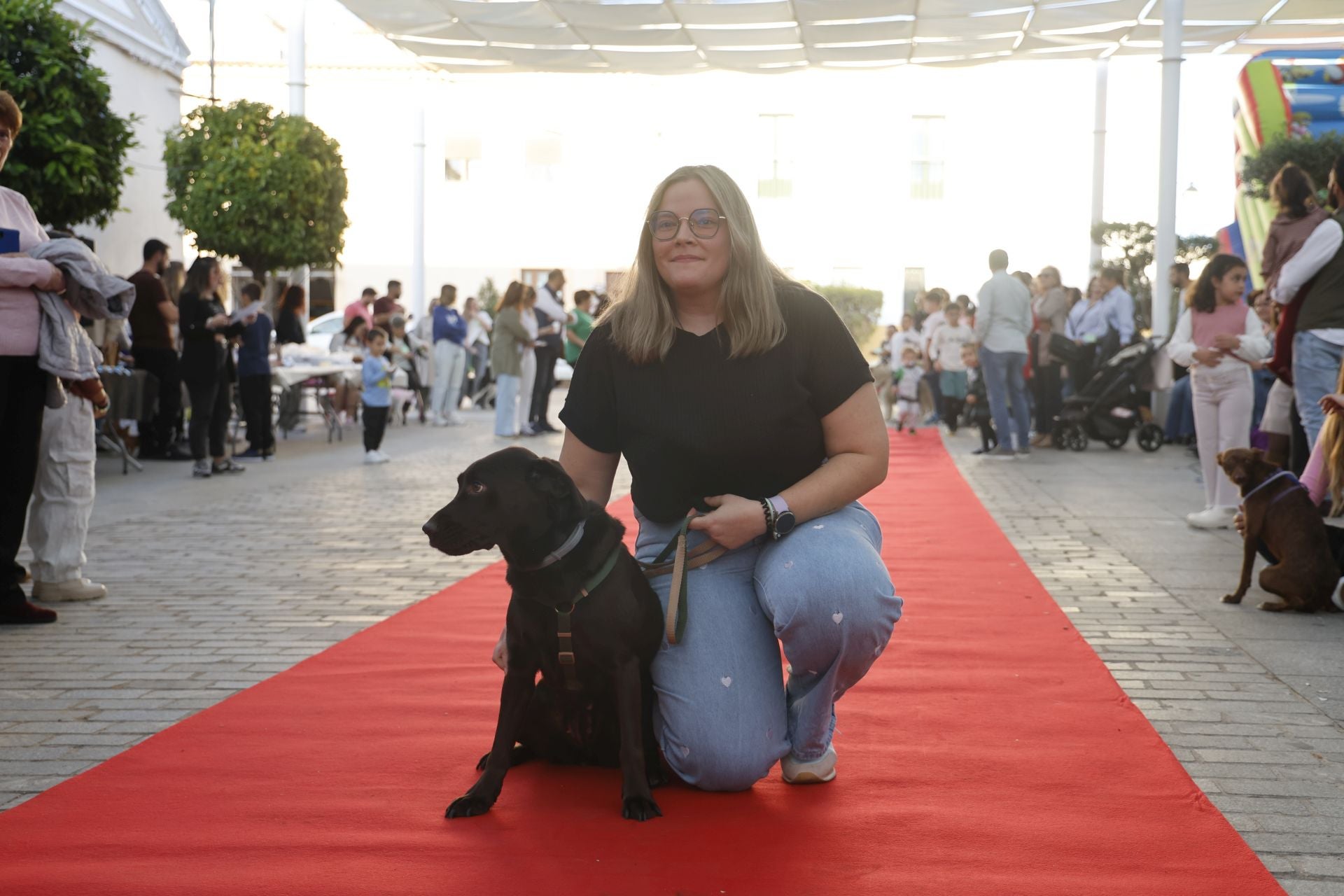 V Desfile Canino (I)