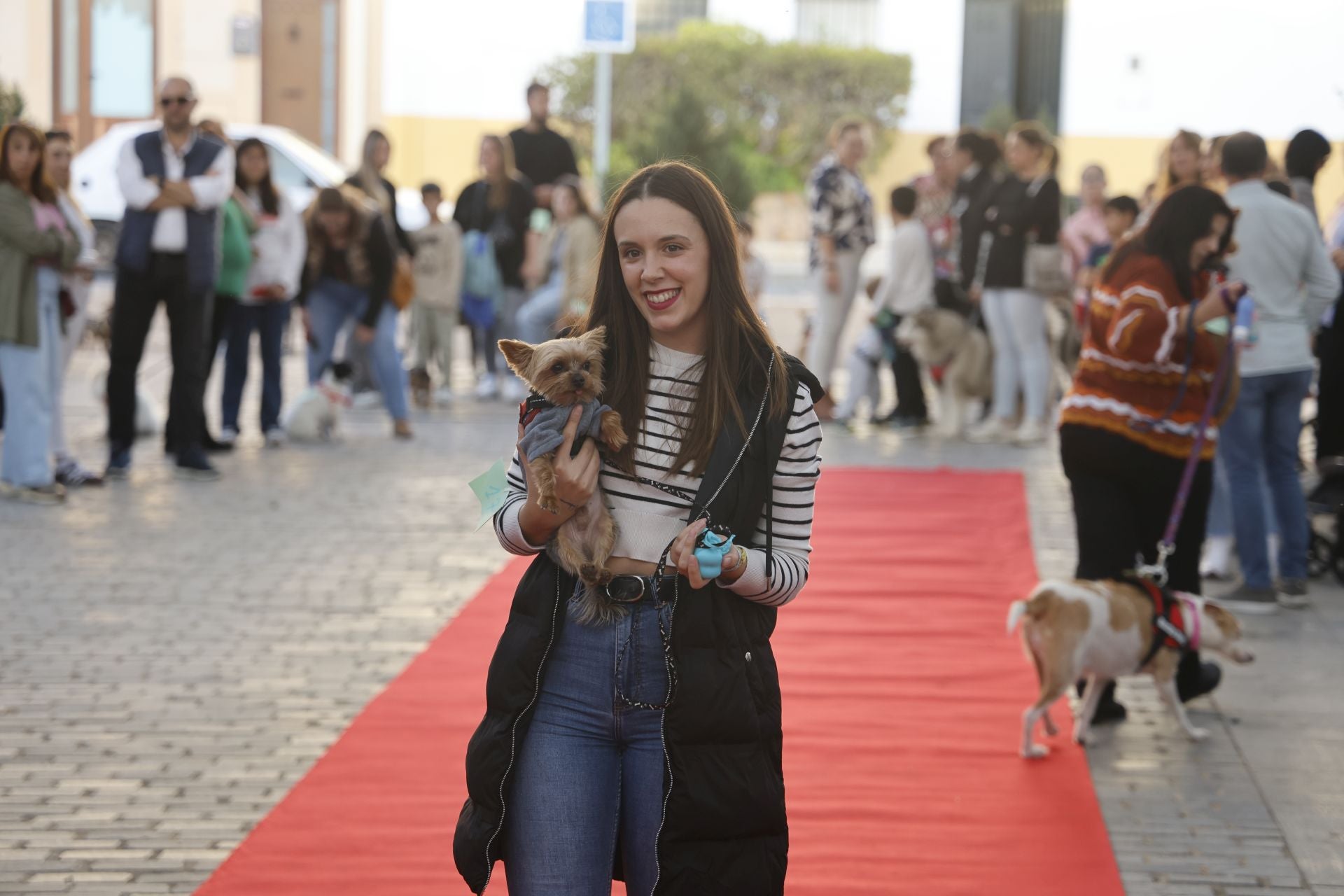 V Desfile Canino (I)