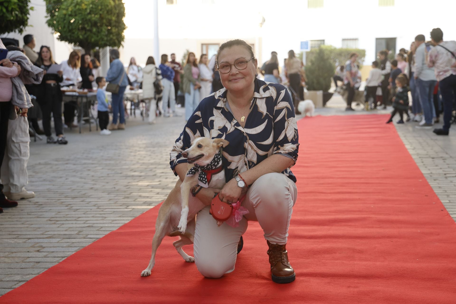 V Desfile Canino (I)
