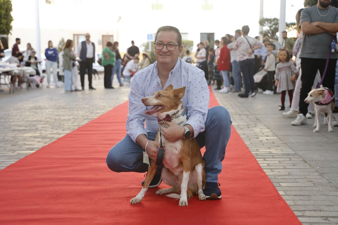 V Desfile Canino (I)