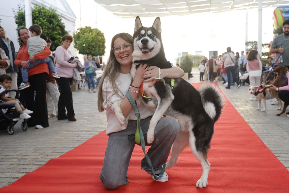 V Desfile Canino (I)