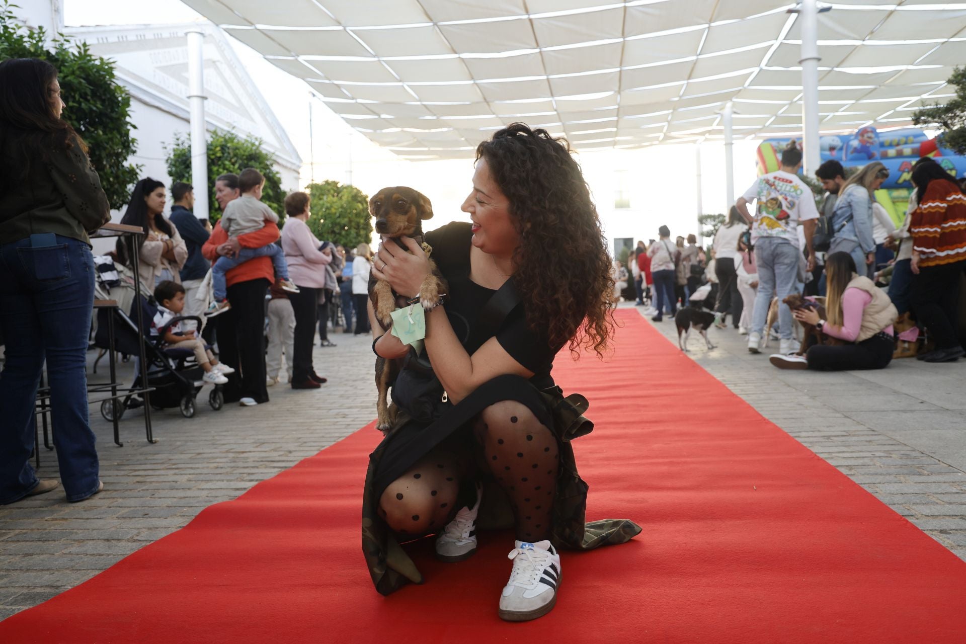 V Desfile Canino (I)