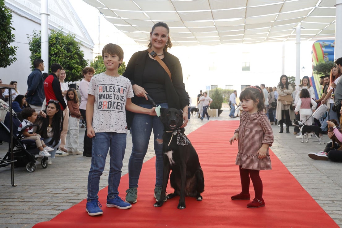 V Desfile Canino (I)