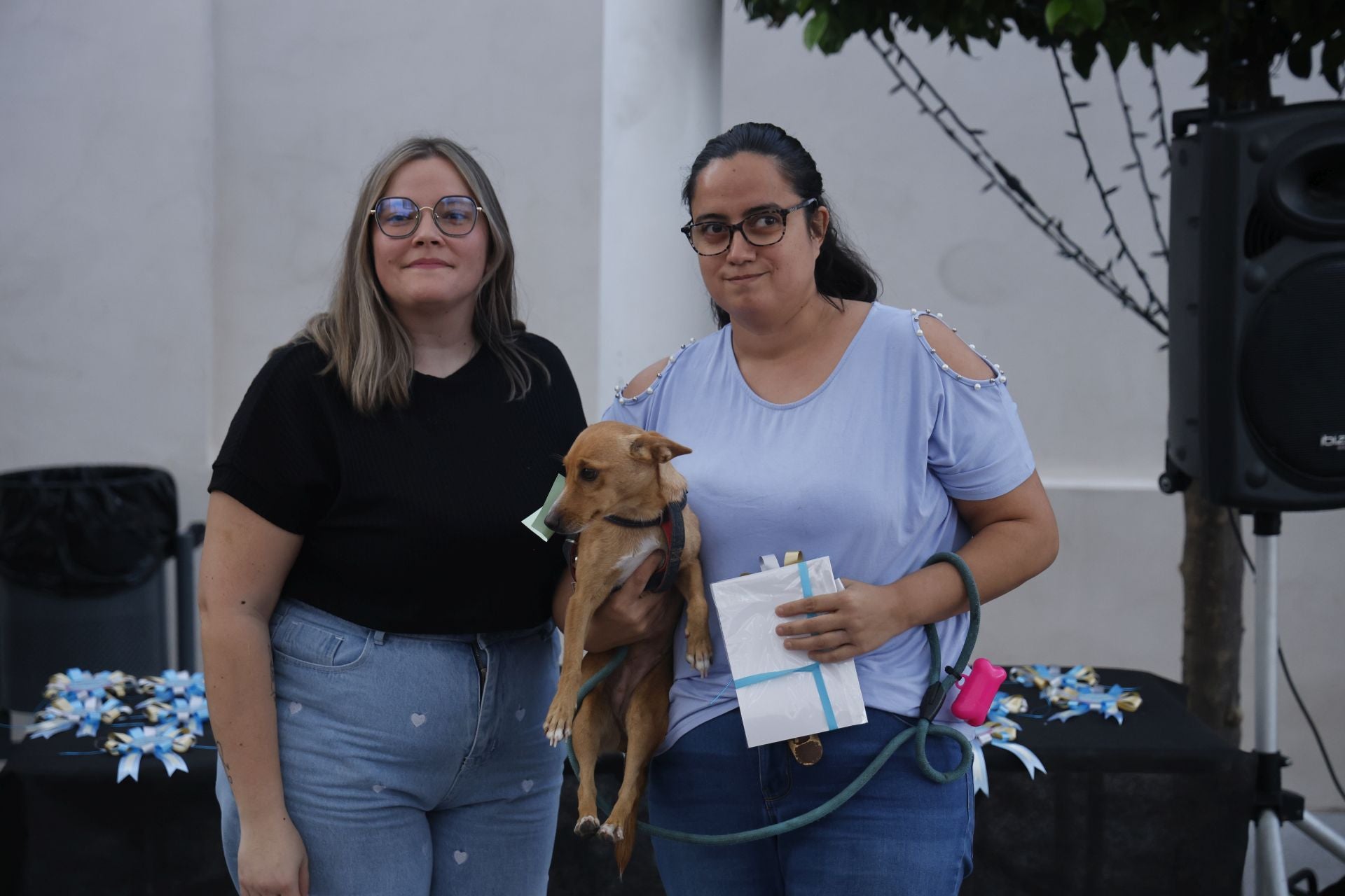 V Desfile Canino (II)