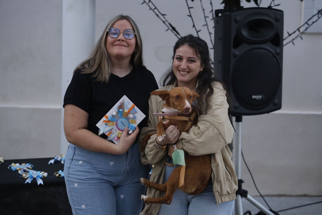 V Desfile Canino (II)