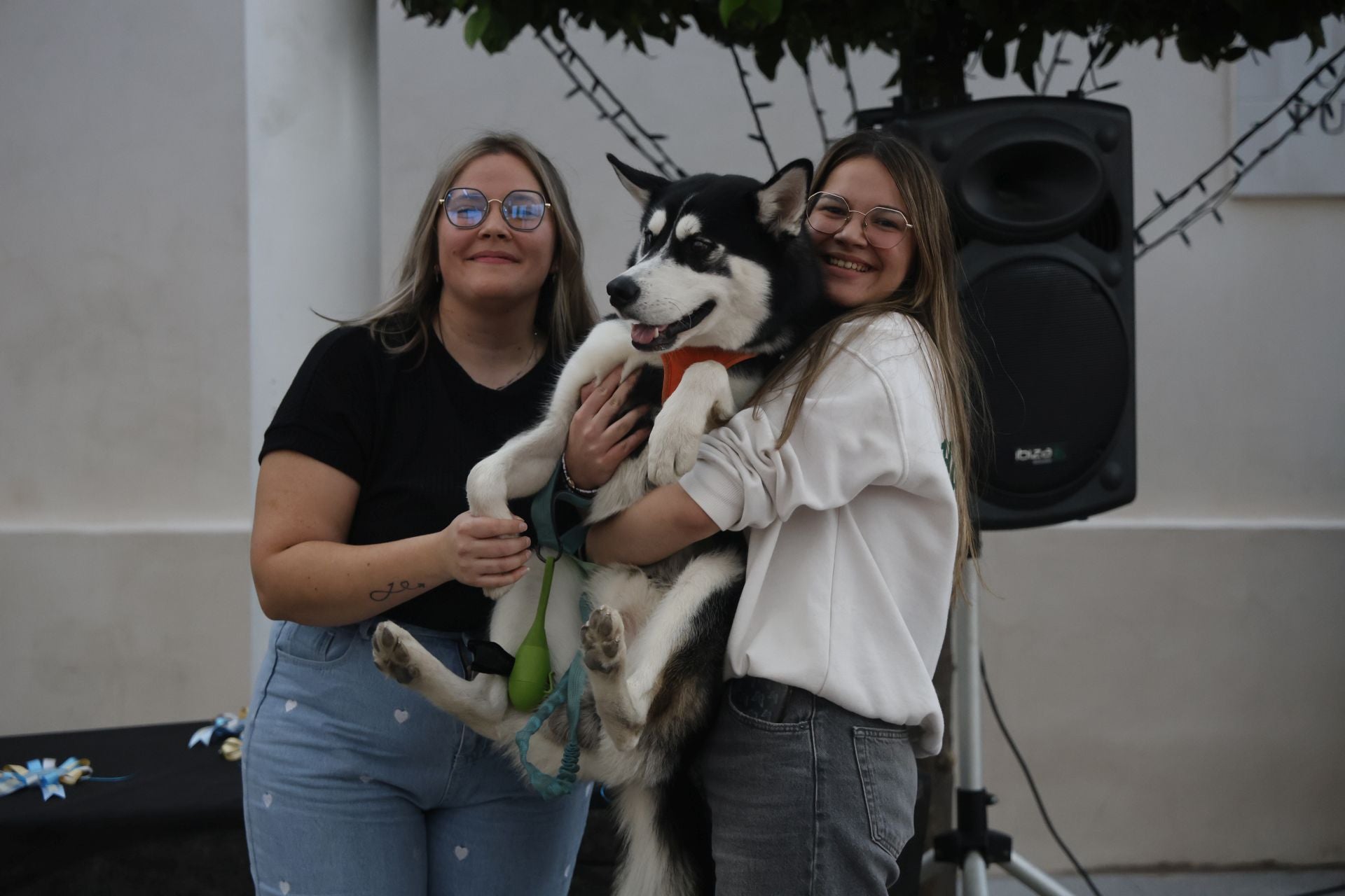V Desfile Canino (II)
