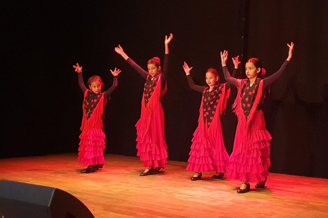Gala Flamenca Benéfica