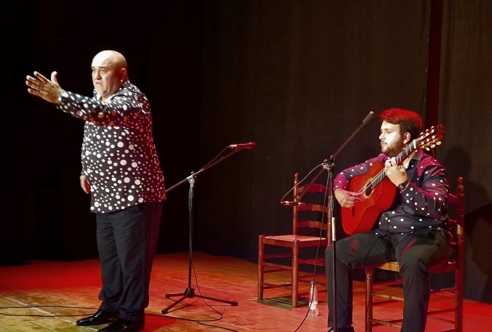Gala Flamenca Benéfica