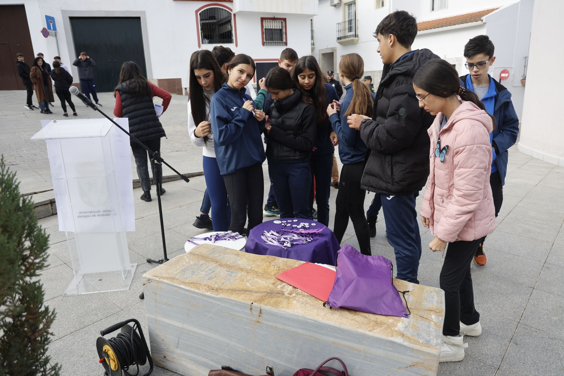 Lecturas escolares contra la Violencia hacia la Mujer