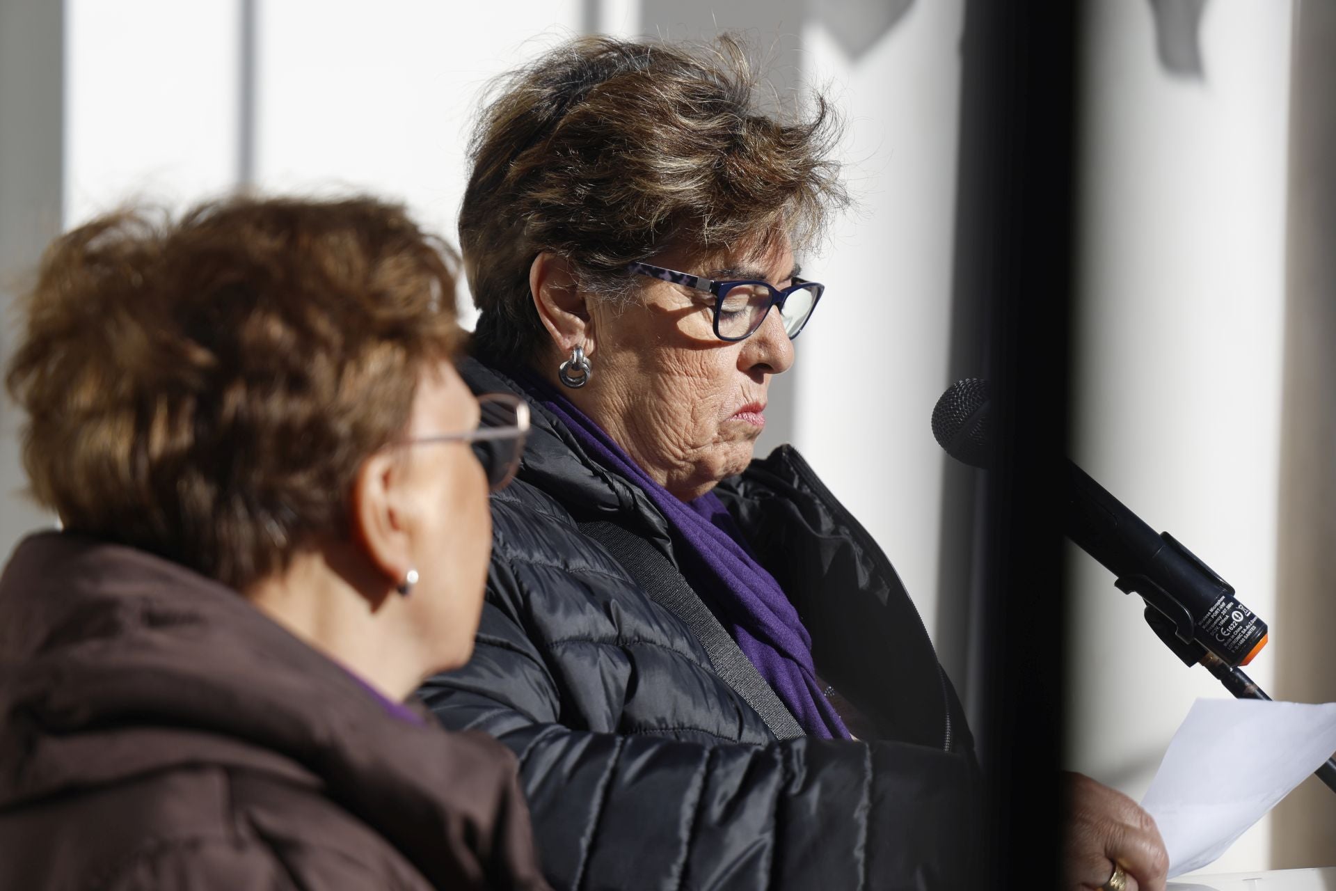 Manifiesto por el 25N