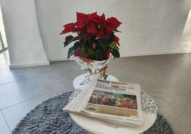 Ya puedes hacerte de la edición 159 de HOY Valverde de Leganés