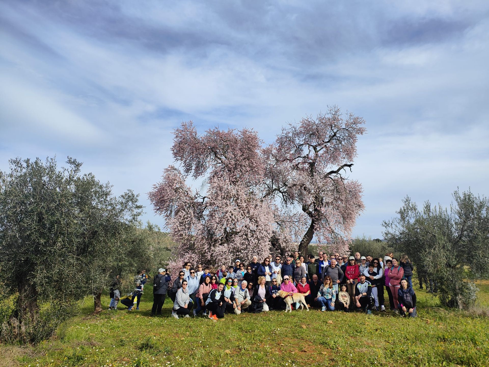 Ruta al Almendro Real