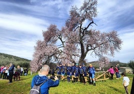 Ruta al Almendro Real