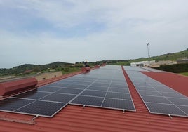 Instalación de las placas