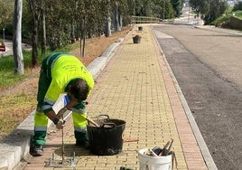 Durante los trabajos realizados