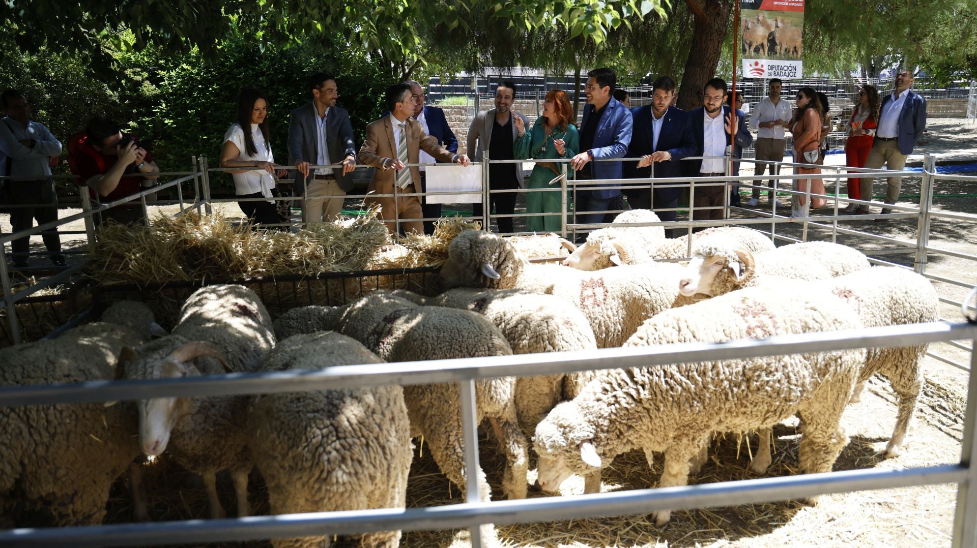 &#039;Vive la Trashumancia&#039; y &#039;Feria del Queso Artesano&#039; (II)