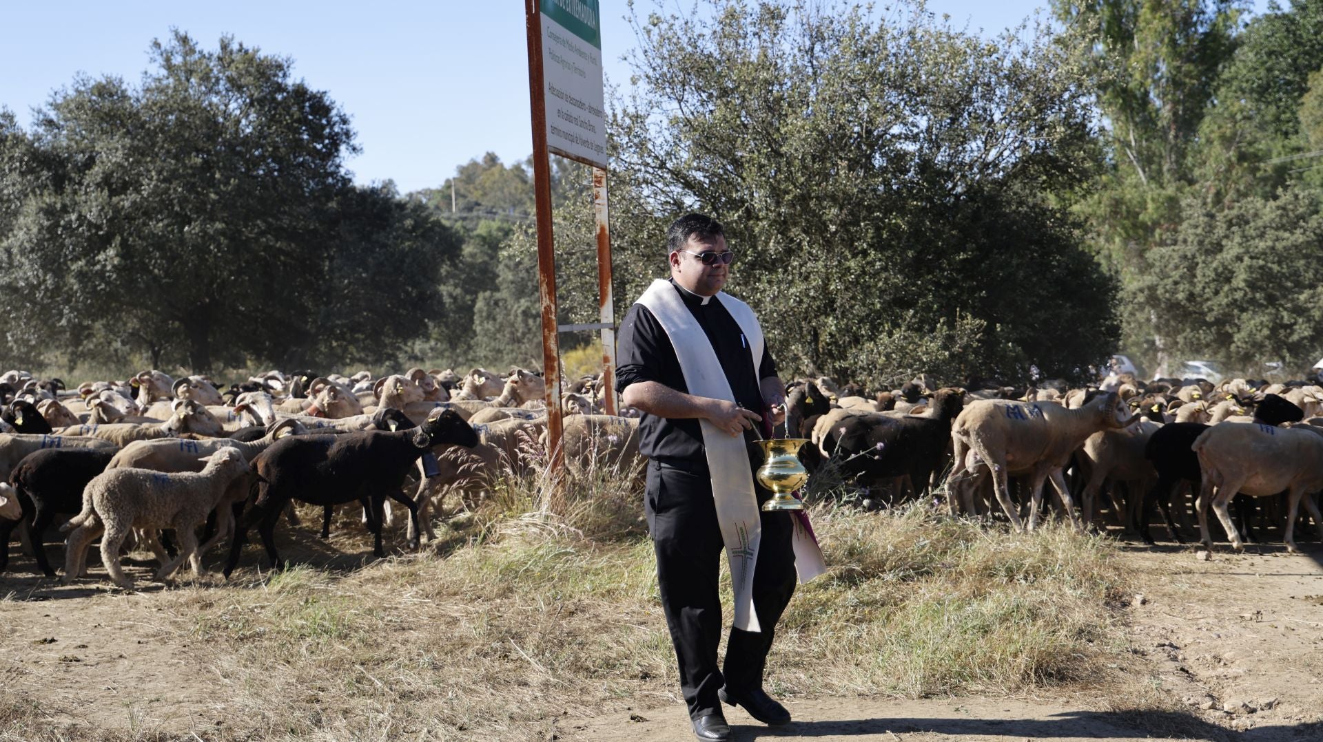 &#039;Vive la Trashumancia&#039; y &#039;Feria del Queso Artesano&#039; (IV)