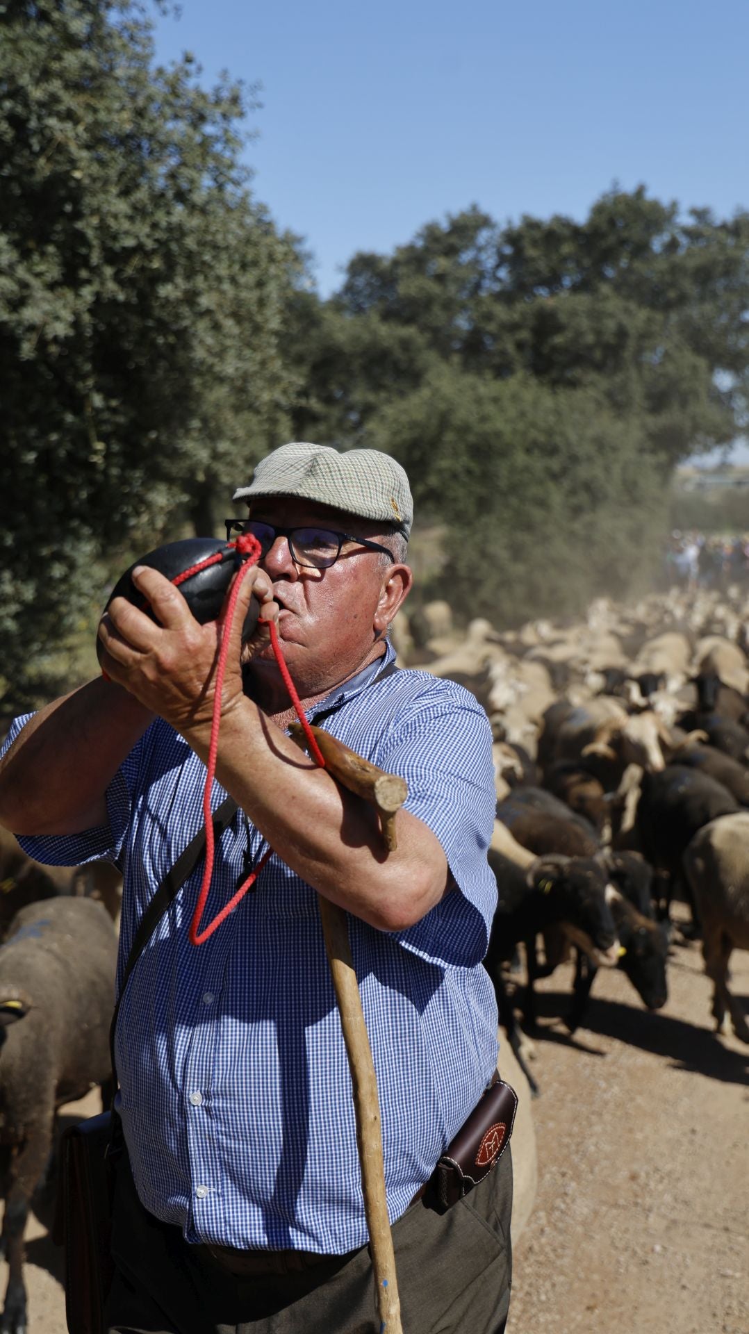 &#039;Vive la Trashumancia&#039; y &#039;Feria del Queso Artesano&#039; (IV)