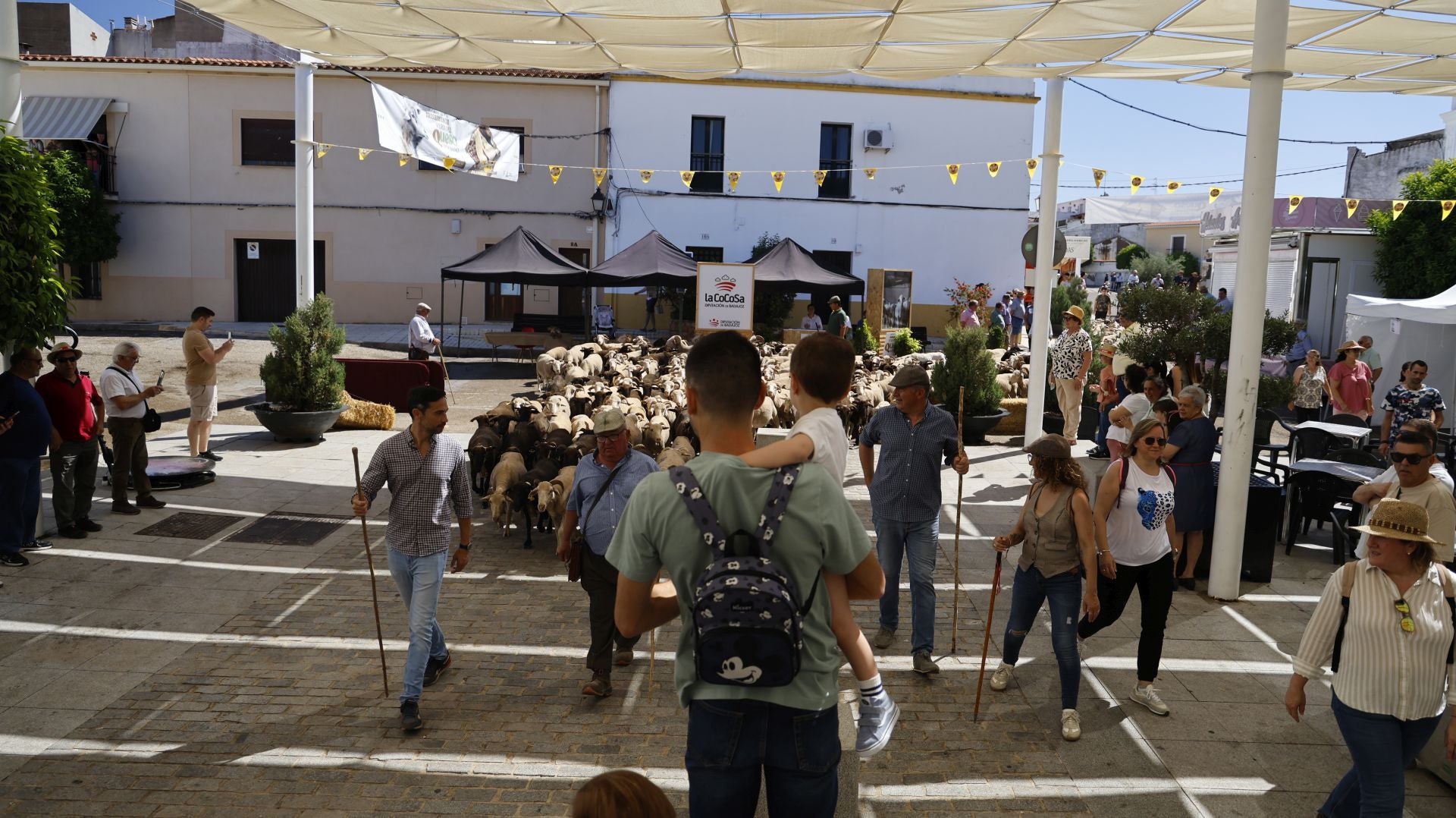 &#039;Vive la Trashumancia&#039; y &#039;Feria del Queso Artesano&#039; (IV)