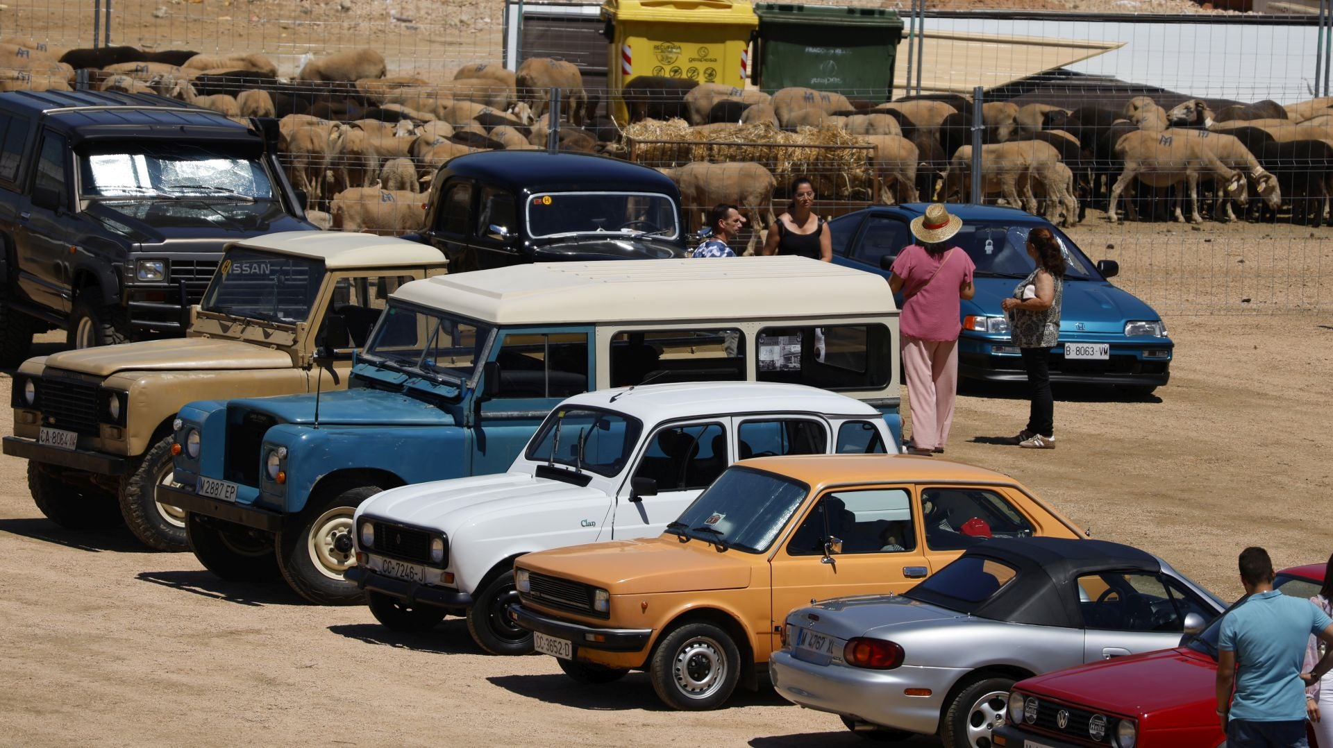 &#039;Vive la Trashumancia&#039; y &#039;Feria del Queso Artesano&#039; (IV)