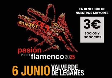Esta noche la Casa de la Cultura acoge el programa 'Pasión por el Flamenco'