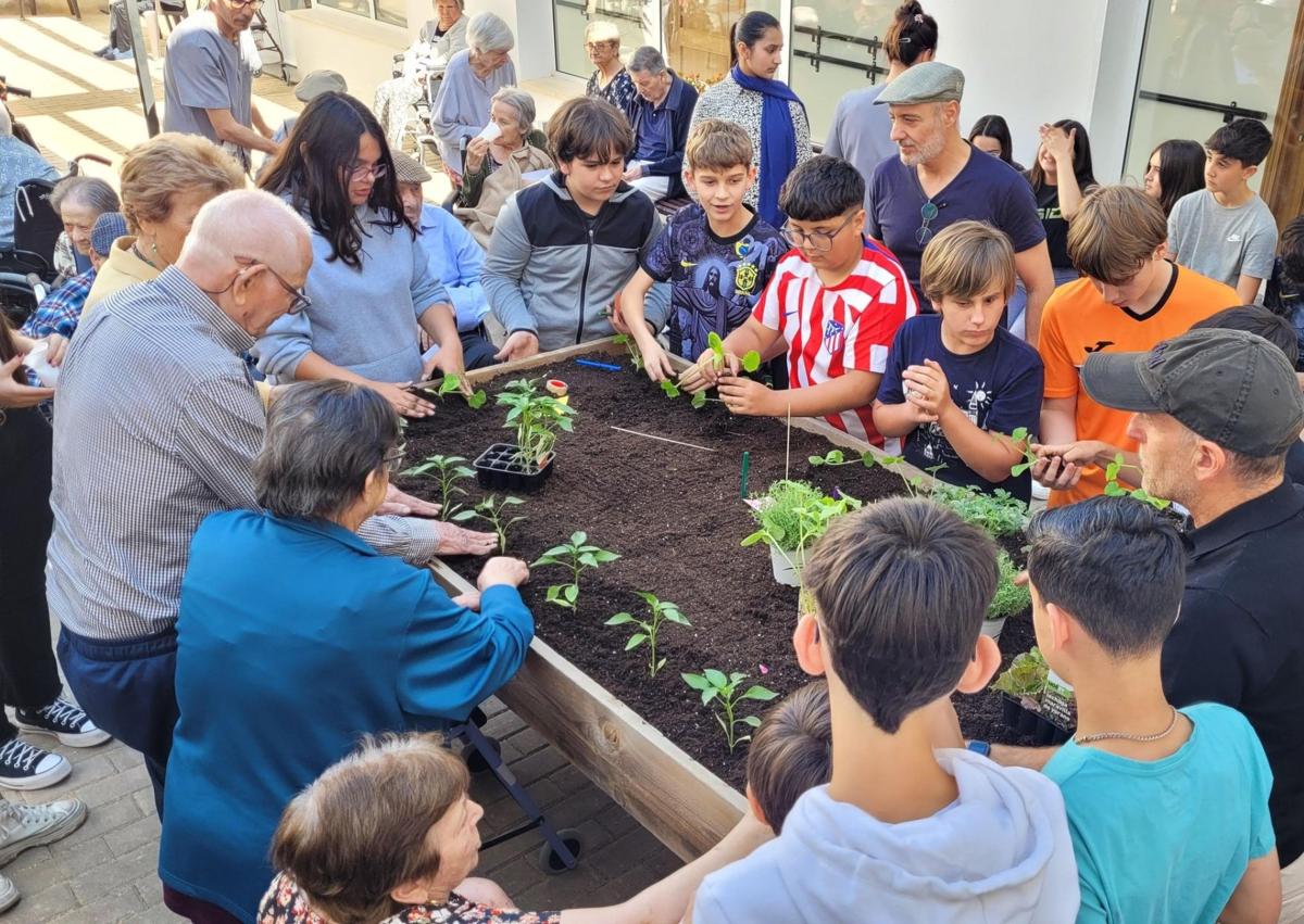 Imagen secundaria 1 - Más imágenes