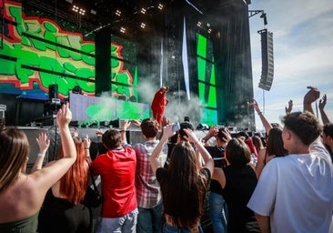 Jóvenes en un concierto