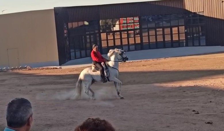Feria del Cristo