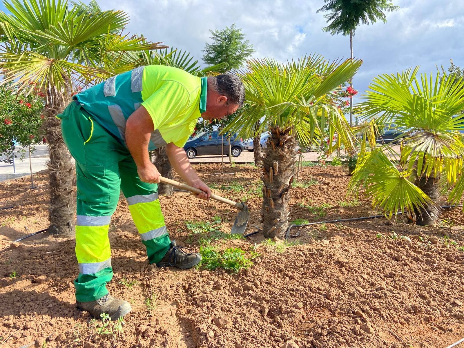 Celebración del Día de los Difuntos
