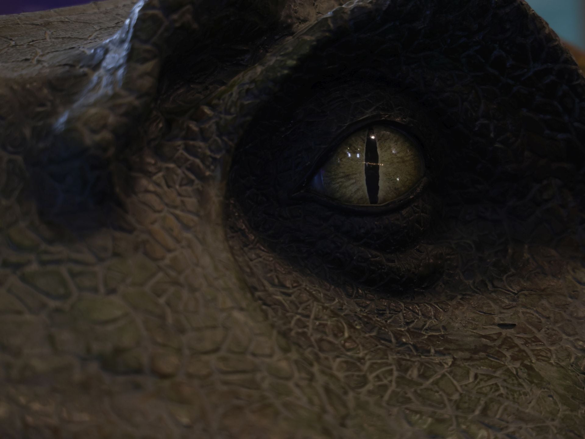 Criaturas Jurásicas