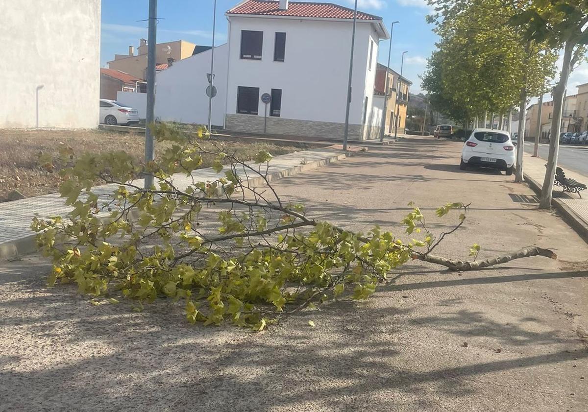 Imagen principal - Algunas otras incidencias provocadas