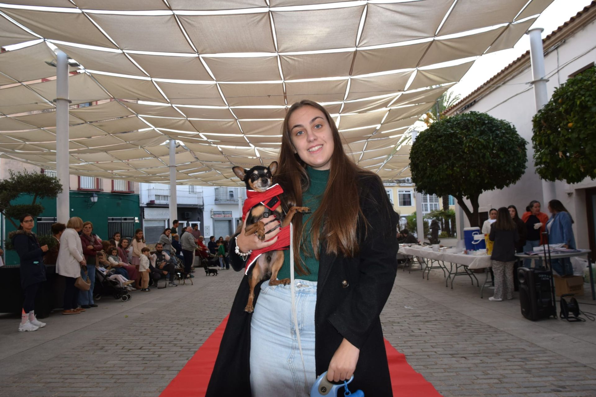 VI Desfile Canino Amaval