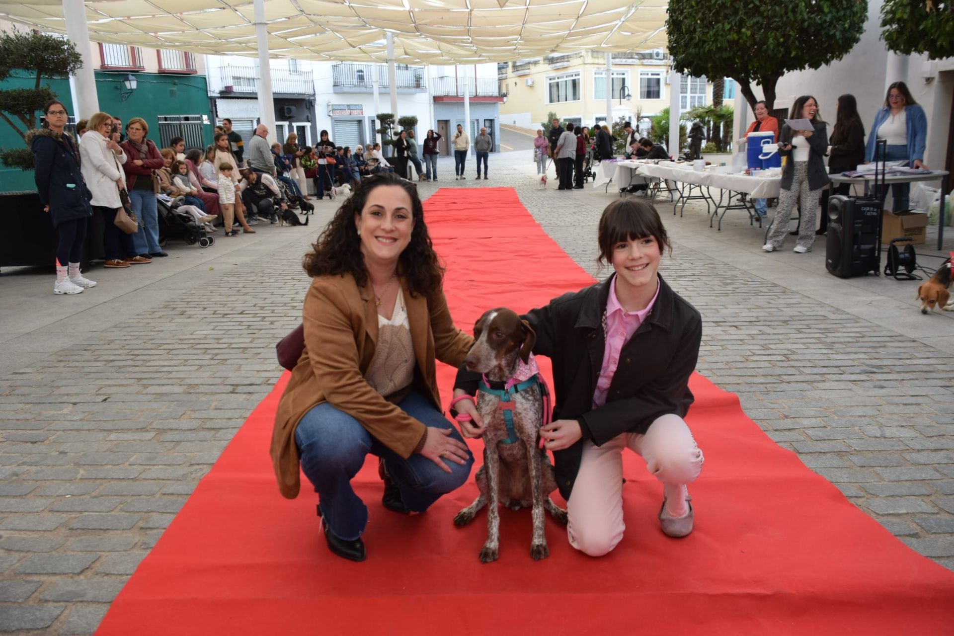 VI Desfile Canino Amaval