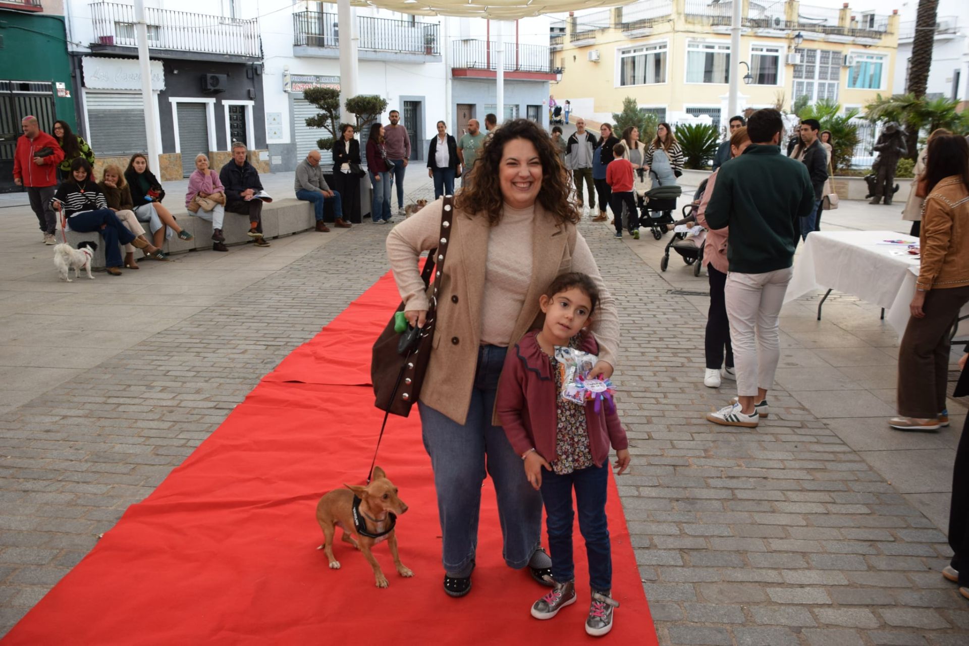 VI Desfile Canino Amaval