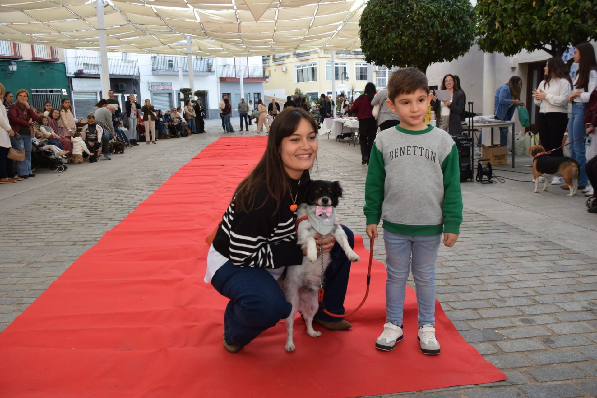 VI Desfile Canino Amaval