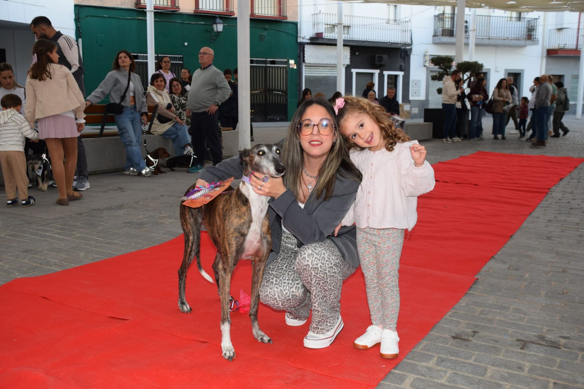 VI Desfile Canino Amaval