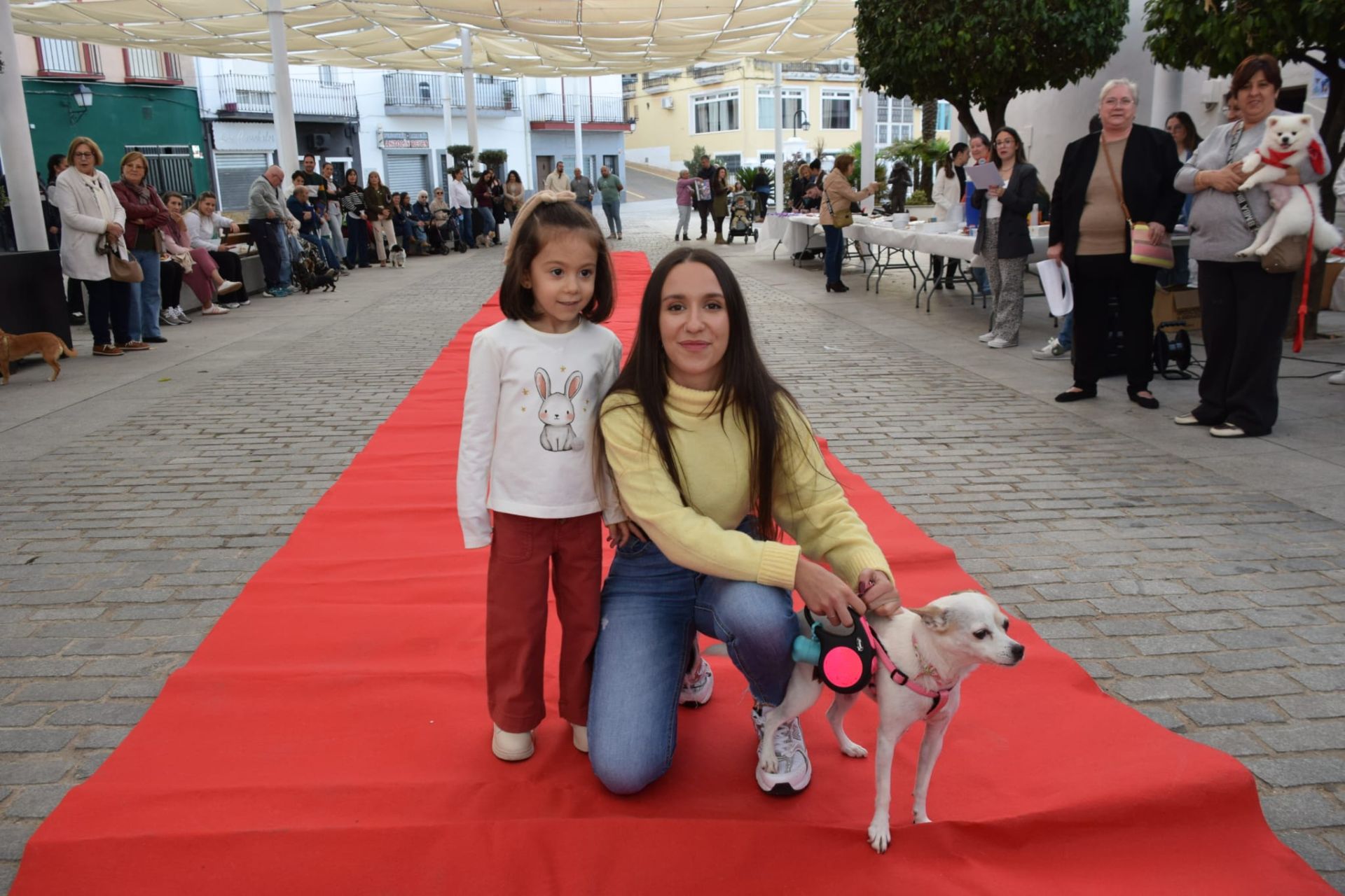 VI Desfile Canino Amaval